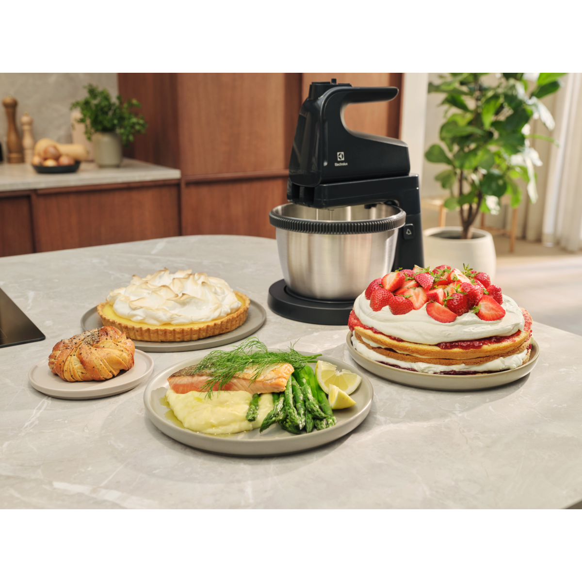 Electrolux - Plaktuvas - ESM4B