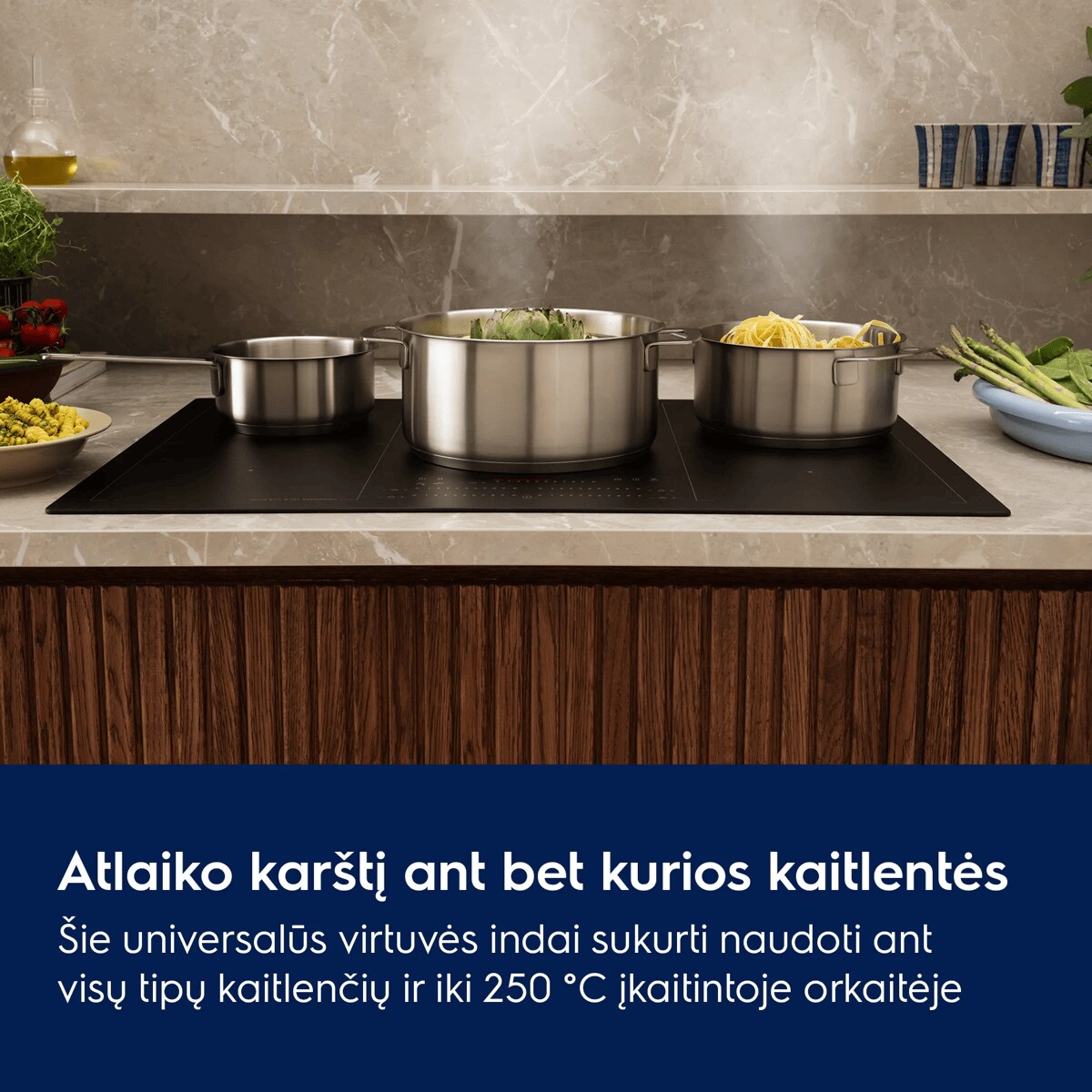 Atlaiko karštį ant bet kurios kaitlentės Šie universalūs virtuvės indai sukurti naudoti ant visų tipų kaitlenčių ir iki 250 °C įkaitintoje orkaitėje