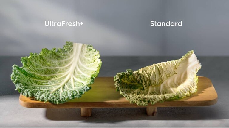 Lettuce