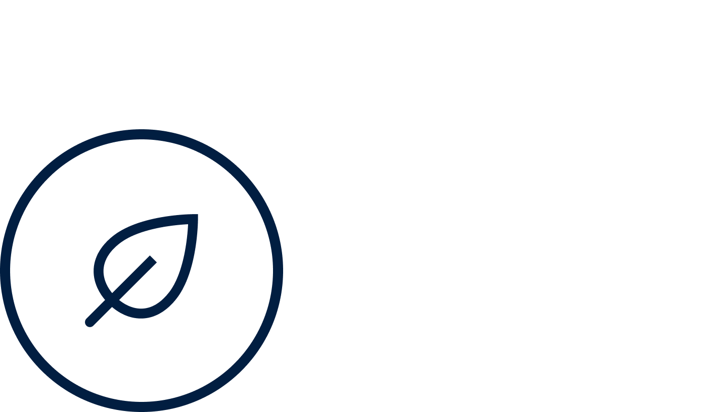 Eco 40-60 programme icon