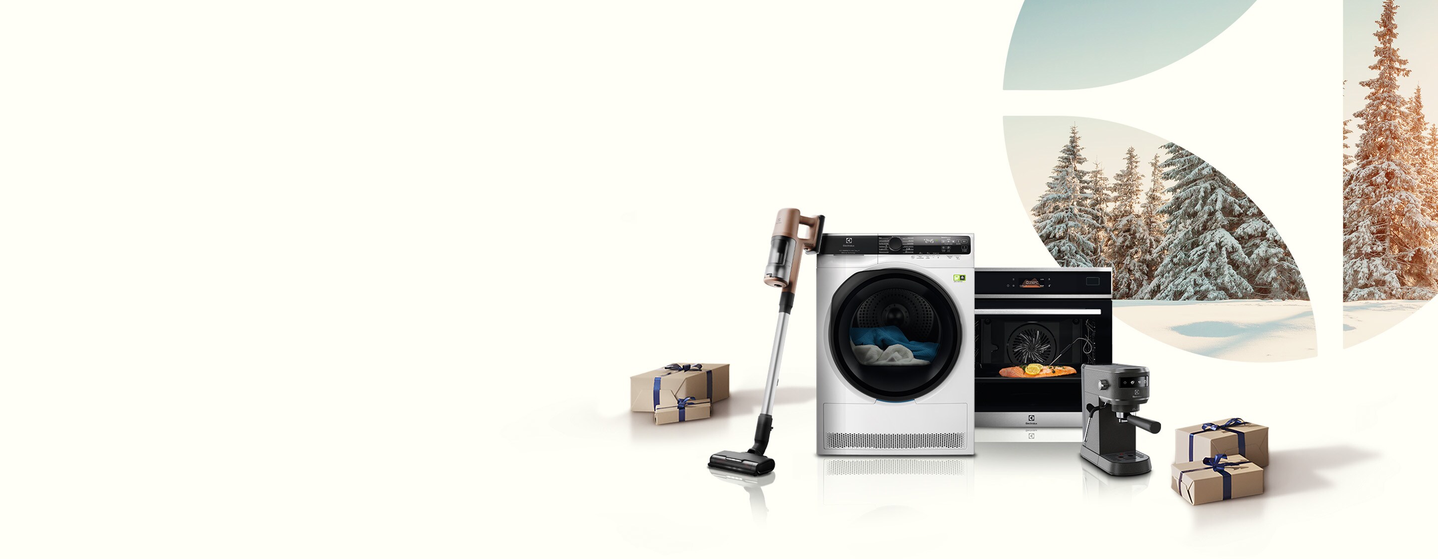 Electrolux produktai apsnigtame fone